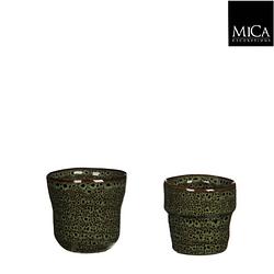 Foto van 5 stuks bloempot stef pot rond groen 2 assorti h7,5d7,5 cm mica decorations
