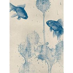 Foto van Wizard+genius blue fish vlies fotobehang 192x260cm 4-banen