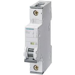 Foto van Siemens 5sy41027 5sy4102-7 zekeringautomaat 2 a