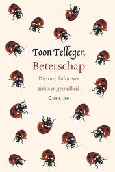 Foto van Beterschap - toon tellegen - ebook (9789021446356)