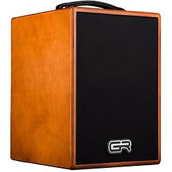 Foto van Grguitar wd acoustic 8 brown 140 watt akoestische gitaarversterker