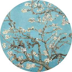 Foto van Wizard+genius van gogh almond blossom vlies fotobehang 140x140cm rond