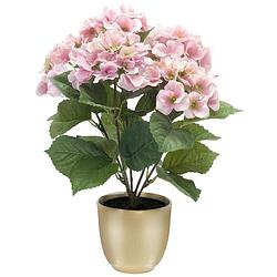 Foto van Hortensia kunstplant/kunstbloemen 40 cm - roze - in pot goud mat - kunstplanten