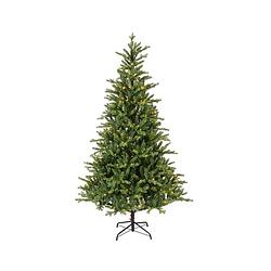 Foto van Everlands - kunstkerstboom allison pine groen 210 cm met 430 led indoor