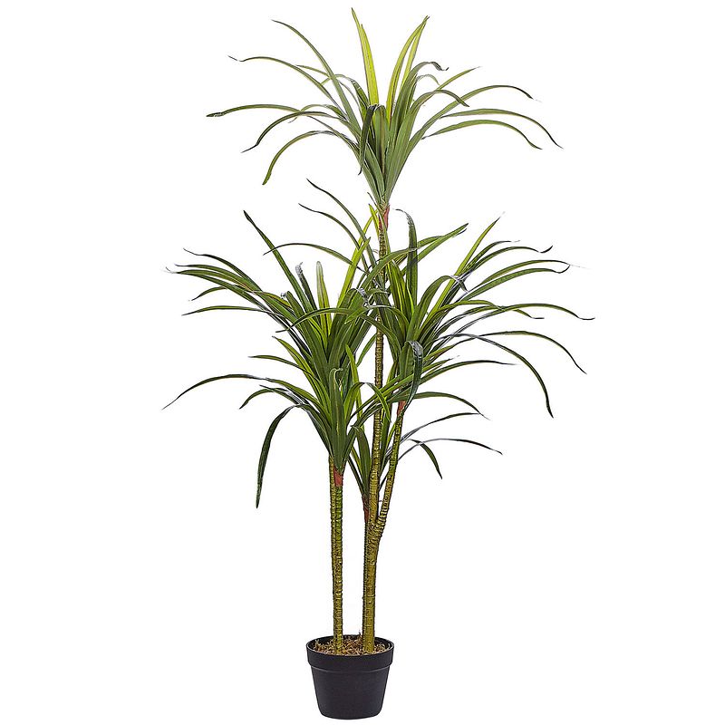 Foto van Beliani dracaena anita - kunstplant-groen-synthetisch materiaal