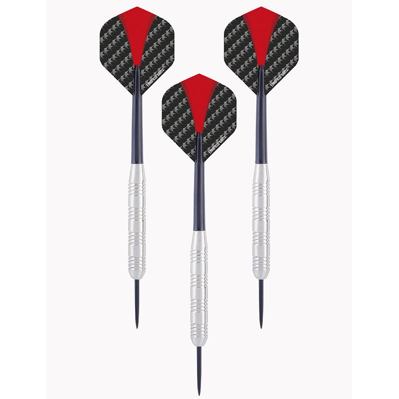 Foto van 1x set van 3 dartpijlen longfield darts nickel silver 24 grams - dartpijlen