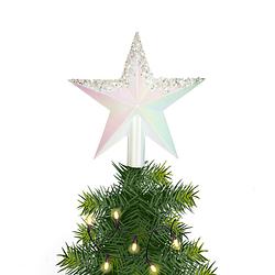 Foto van Feeric lights and christmas ster piek - parelmoer wit -plastic -22 cm - kerstboompieken
