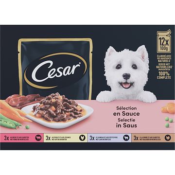 Foto van Cesar maaltijdzakjes in saus multipack hondenvoer 12x100g bij jumbo