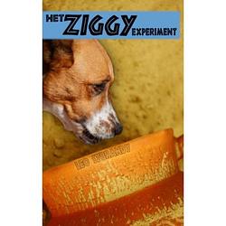 Foto van Het ziggy experiment