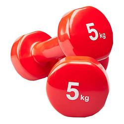 Foto van Matchu sports vinyl dumbbells - 5 kg