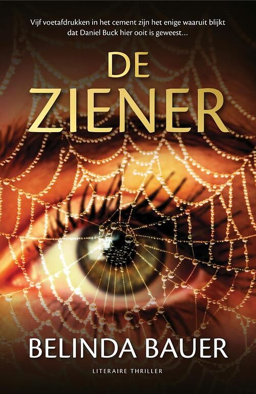 Foto van De ziener - belinda bauer - ebook (9789044977677)