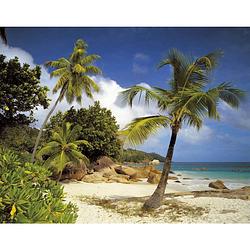 Foto van Komar praslin fotobehang 368x254cm 8-delen