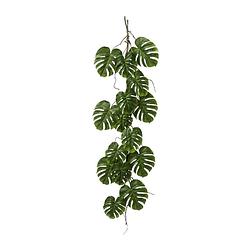 Foto van Kopu® hangplant split philodendron 119 cm - macramé plantenhanger xl