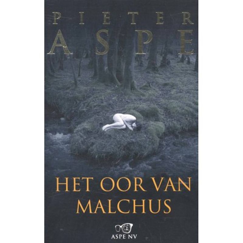 Foto van Het oor van malchus