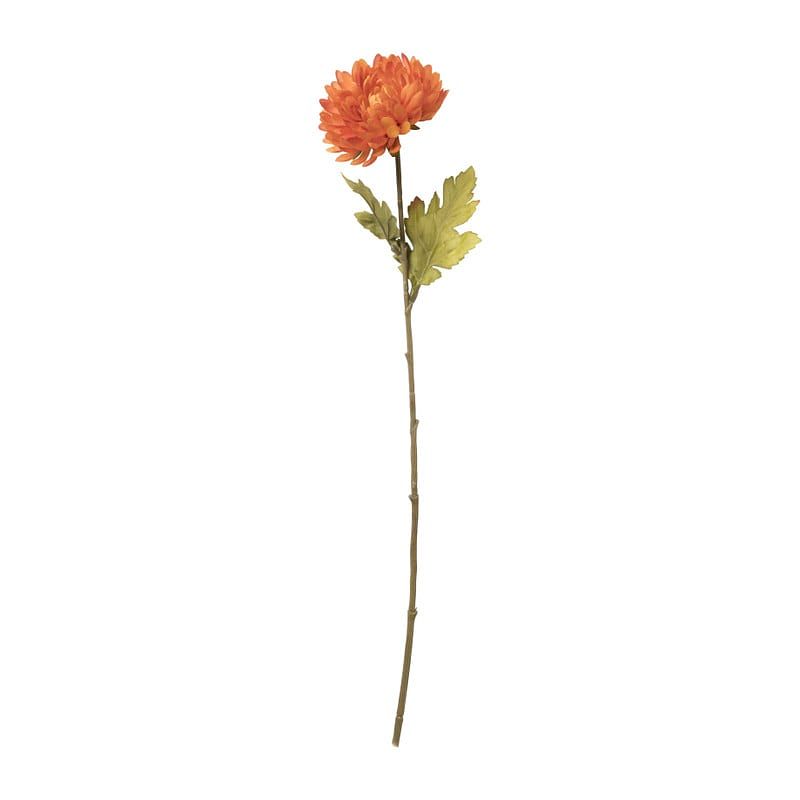 Foto van Chrysant - oranje - 58 cm