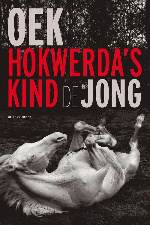 Foto van Hokwerda's kind - oek de jong - ebook (9789045702186)