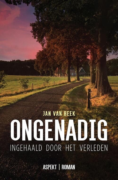 Foto van Ongenadig - jan van beek - ebook (9789464241983)