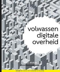 Foto van Volwassen digitale overheid - arjan widlak - ebook (9789051891935)