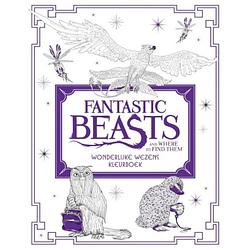 Foto van Fantastic beasts and where to find them: