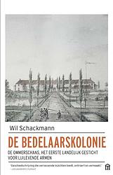 Foto van De bedelaarskolonie - wil schackmann - ebook (9789046705971)