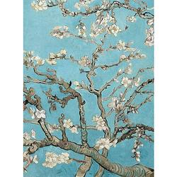 Foto van Wizard+genius van gogh almond blossom vlies fotobehang 192x260cm 4-banen