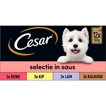 Foto van Cesar maaltijdzakjes in saus multipack hondenvoer 12x100g bij jumbo