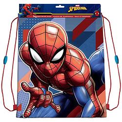 Foto van Spiderman sport gymtas / rugzak voor kinderen - 40 x 30 cm - gymtasje - zwemtasje
