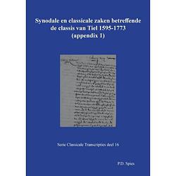 Foto van Synodale en classicale zaken betreffende de