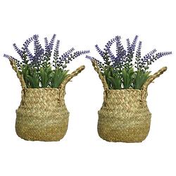 Foto van Everlands lavendel kunstplant in rieten mand - 2x - lila paars - d16 x h27 cm - kunstplanten