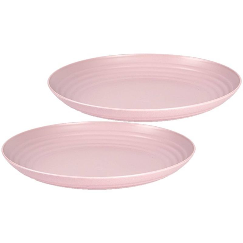 Foto van Set van 2x stuks rond kunststof borden oud roze 25 cm - herbruikbaar - dinerbord - barbecuebord - campingbord