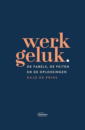 Foto van Werkgeluk - dajo de prins - paperback (9789022337400)