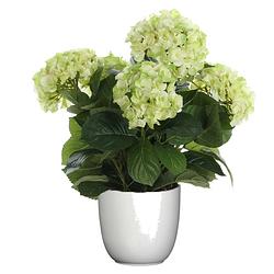 Foto van Hortensia kunstplant/kunstbloemen 45 cm - groen - in pot wit - kunstplanten