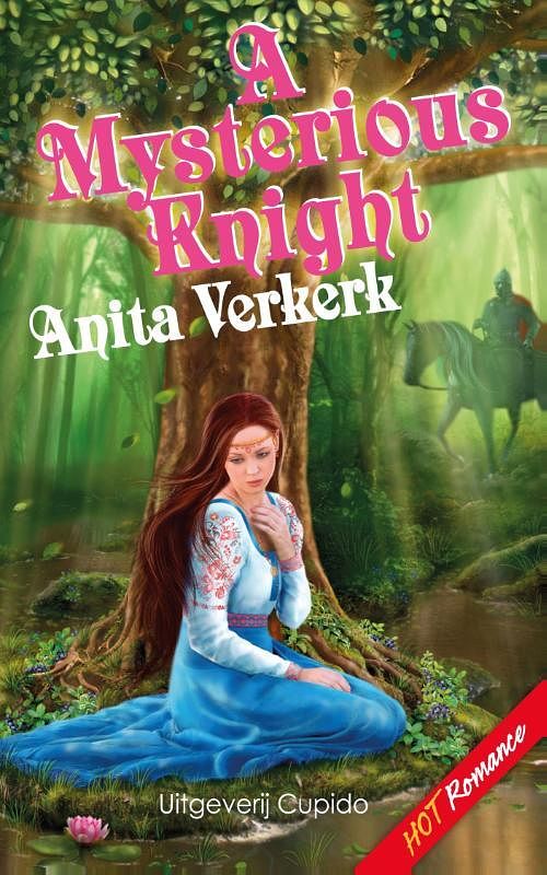 Foto van A mysterious knight - anita verkerk - ebook (9789462040687)