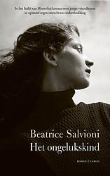 Foto van Het ongelukskind - beatrice salvioni - ebook