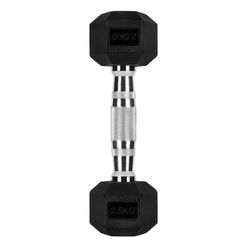 Foto van Ryzor hexagon dumbbell - 2,5 kg - rubber - zwart