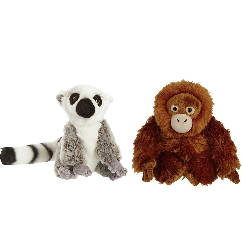 Foto van Apen serie zachte pluche knuffels 2x stuks - maki aap en orang utan aap van 18 cm - knuffeldier