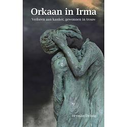 Foto van Orkaan in irma