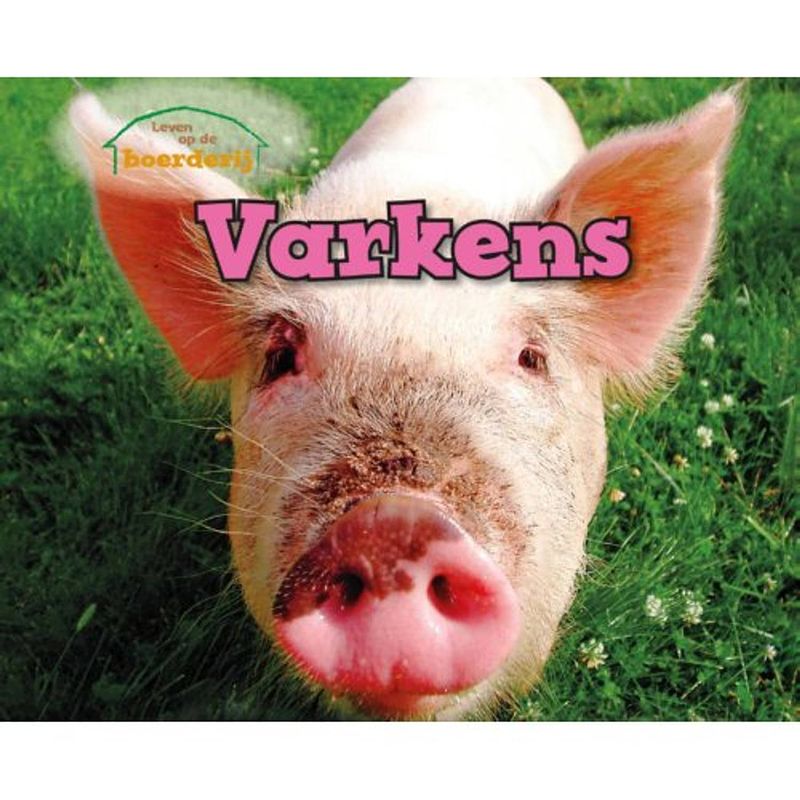 Foto van Varkens - vertel maar