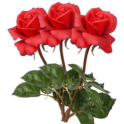 Foto van Top art kunstbloem roos caroline - 3x - rood - 70 cm - zijde - kunststof steel - decoratie bloemen - kunstbloemen