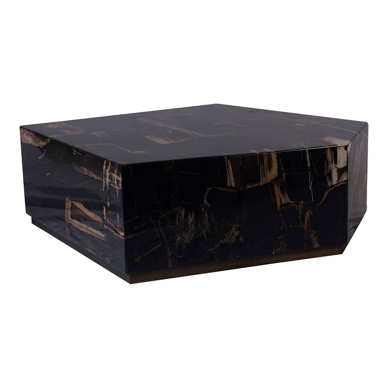 Foto van Ptmd rayn petrified wood black coffeetable l