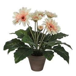 Foto van Gerbera kunstplant creme in keramiek pot h35 cm - kunstplanten