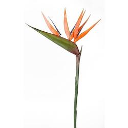 Foto van Oranje strelitzia/paradijsvogelbloem kunstbloem 90 cm - kunstbloemen