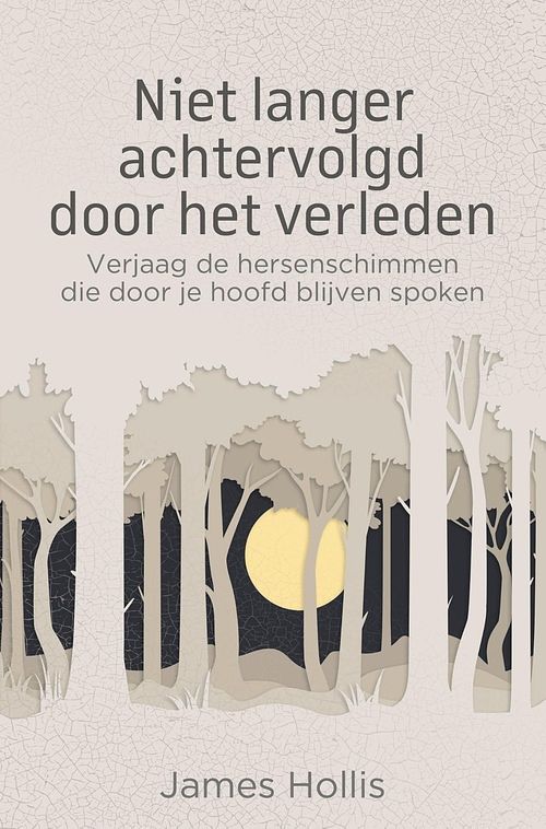 Foto van Niet langer achtervolgd door het verleden - james hollis - ebook