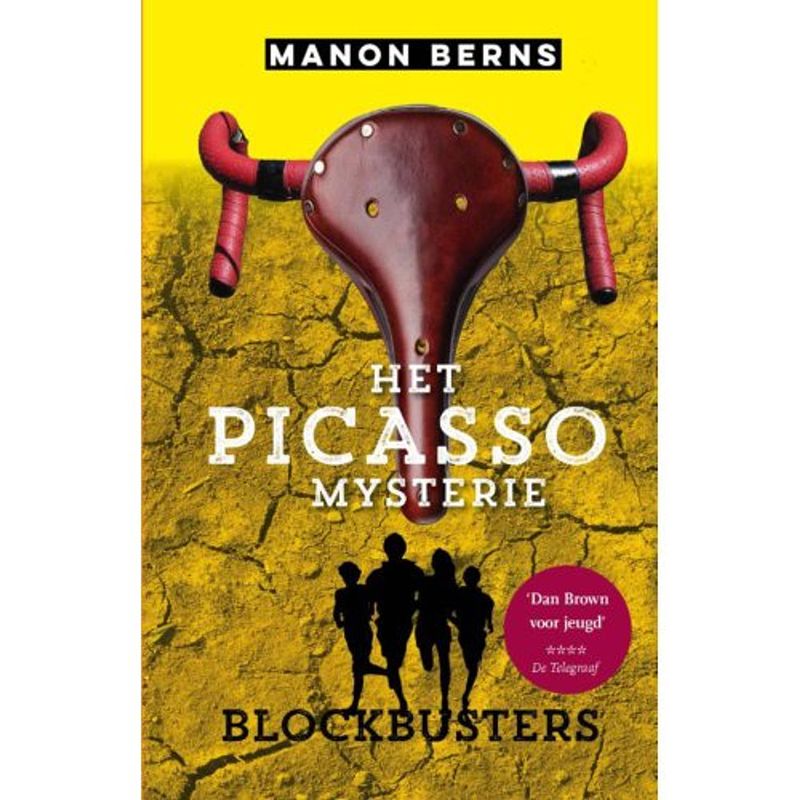 Foto van Het picasso mysterie - blockbusters