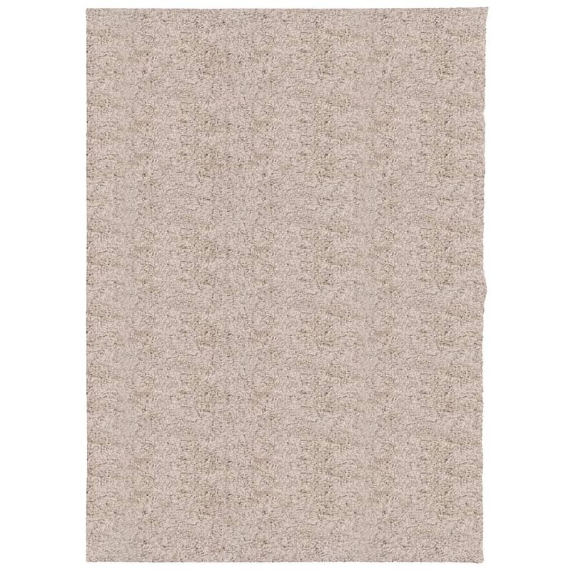 Foto van Vidaxl vloerkleed pamplona shaggy hoogpolig modern 240x340 cm beige