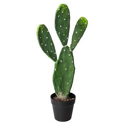 Foto van Atmosphera cactus kunstplant in kunststof pot 60 cm - kunstplanten