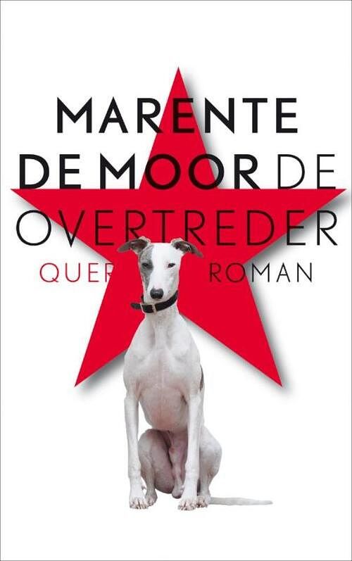 Foto van De overtreder - marente de moor - ebook (9789021436098)