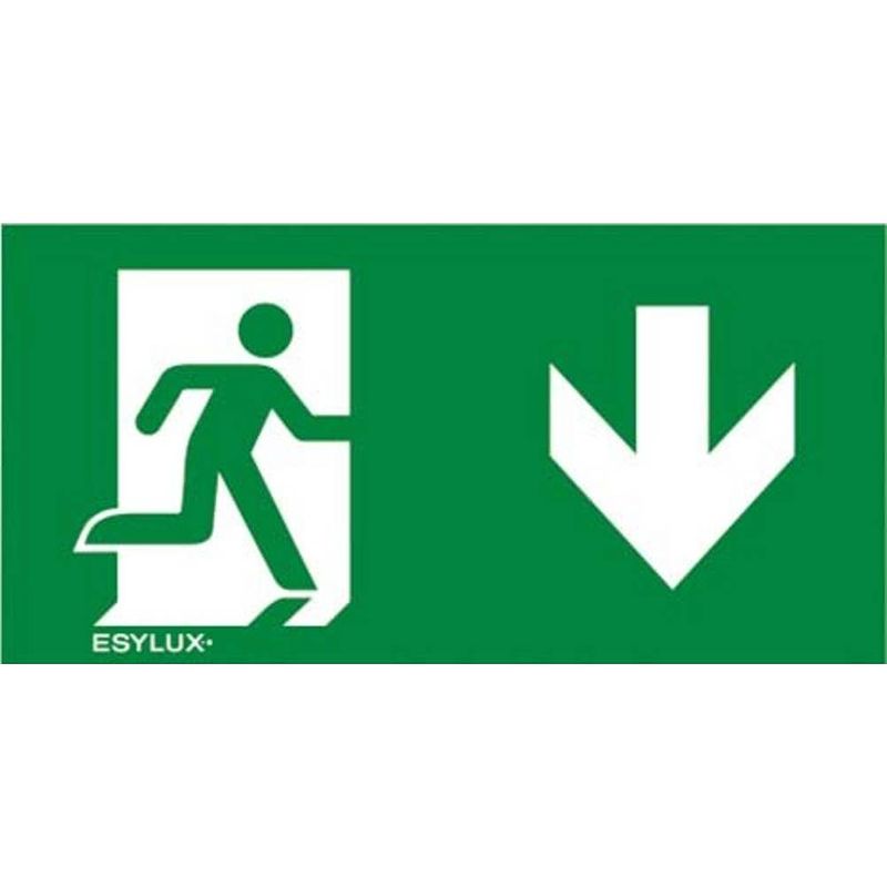 Foto van Esylux en10077623 pictogram nooduitgang naar beneden