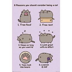 Foto van Pyramid pusheen reasons to be a cat poster 61x91,5cm