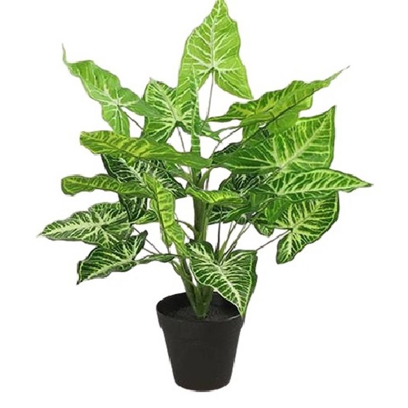 Foto van Tom kunstplant calathea l 40 x 45 cm zijde groen/zwart